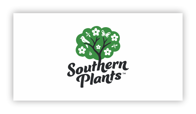 southern plants